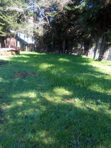 Comentarii opinii despre Fogón Chileno