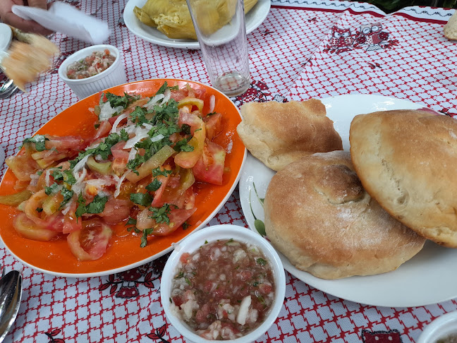 Cam. Quinchamalí, Chillán, Ñuble