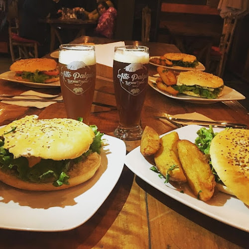 Comentarii opinii despre Wenu Pillán Cervecería y Restaurante
