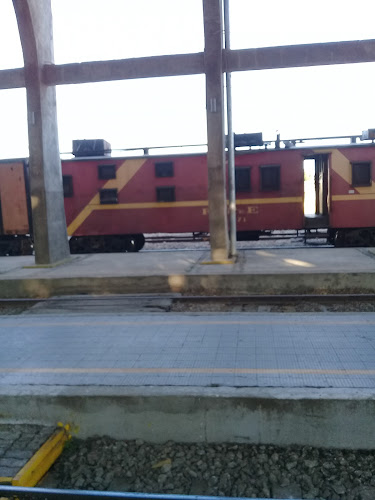 Tierra y Fuego - Talca