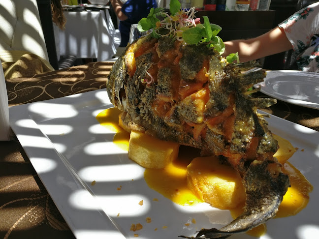 Comentarii opinii despre Restaurant Rayu