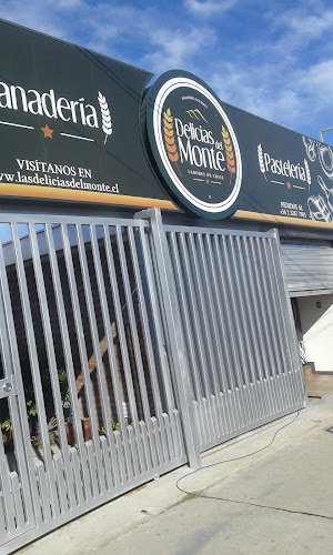 Delicias Del Monte - Puente Alto