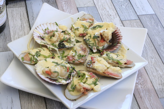 Bosque Viejo - Los Vilos