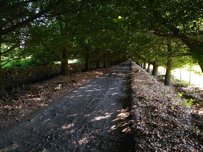 Manuel Rodríguez, San Fernando, O'Higgins, Chile