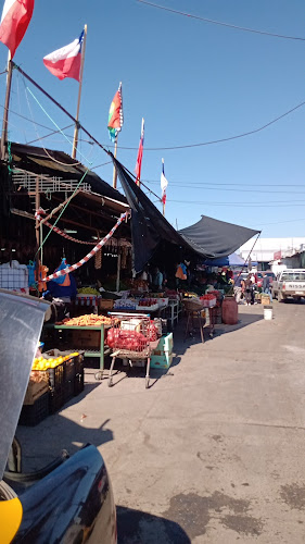 Parque Industrial - Talca