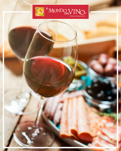 El Mundo del Vino - Santiago