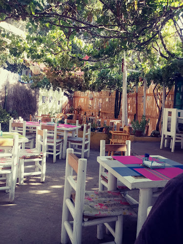 Comentarii opinii despre Raiz Del Elqui Restobar