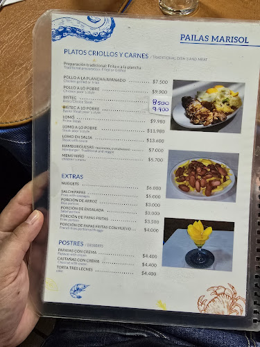 Pailas Marisol - Santiago