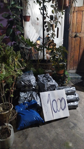 Opinii despre Carbon de madera în Coronel - Gastronomía y hostelería