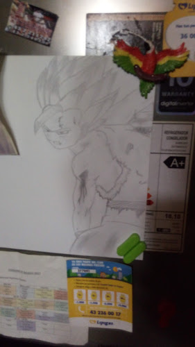 Flor De Loto - Gastronomía y hostelería