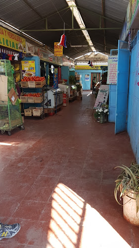 Mercado Centenario Open Times