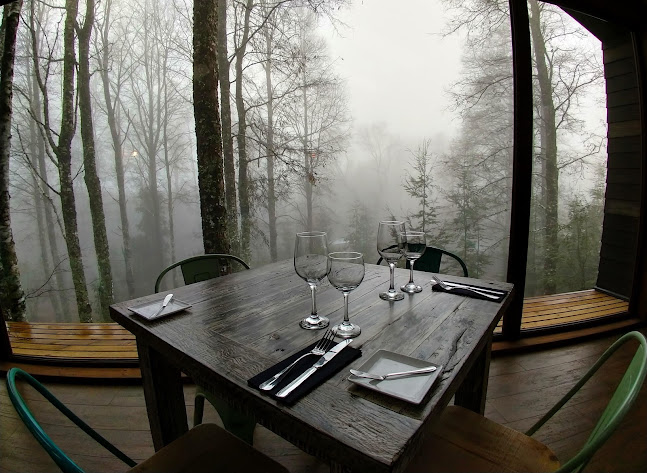 A la Olla restorant - Pucon