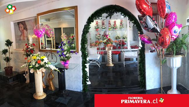 Florería Primavera Antofagasta - Gastronomía y hostelería