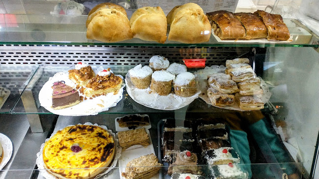 Coronel Santiago Bueras 392, Valdivia, Los Ríos