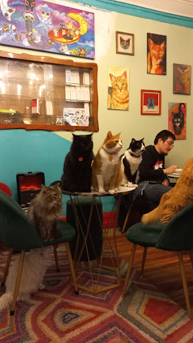 Opinii despre Tetería Cleopatra Chile în Santiago - Gastronomía y hostelería