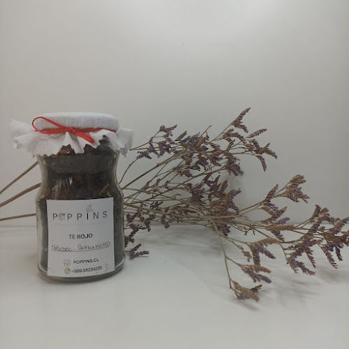 Opinii despre POPPINS în Puente Alto - Gastronomía y hostelería