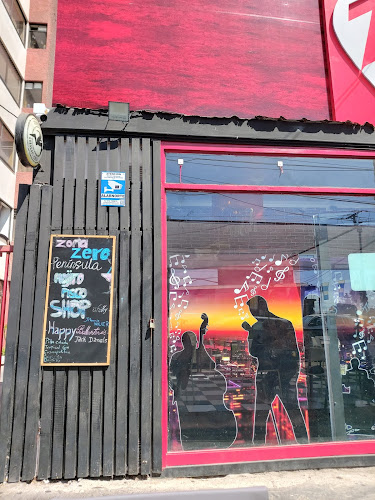 Comments and reviews of Zona Zero