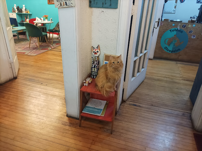 Comentarii opinii despre Tetería Cleopatra Chile