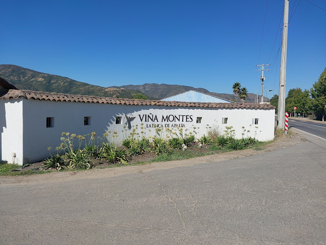 Comentarii opinii despre Viña Montes Alpha