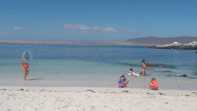 Av. El Morro 1038, 1571182 Bahía Inglesa, Caldera, Atacama