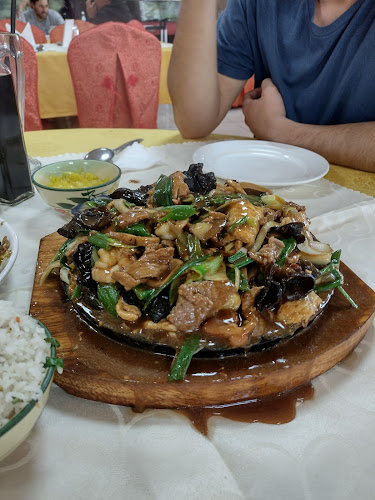 Comentarii opinii despre Restaurant Montaña China