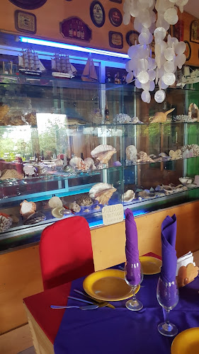 Restaurant el Rey del Marisco de Villarrica - Villarrica