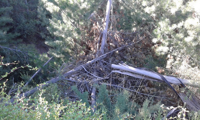 Paso La Playa - Gastronomía y hostelería