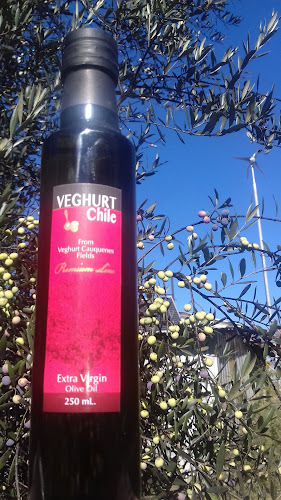 Agrícola Veghurt - Cauquenes