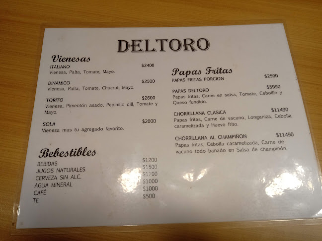 Deltoro Valle Volcanes - Puerto Montt