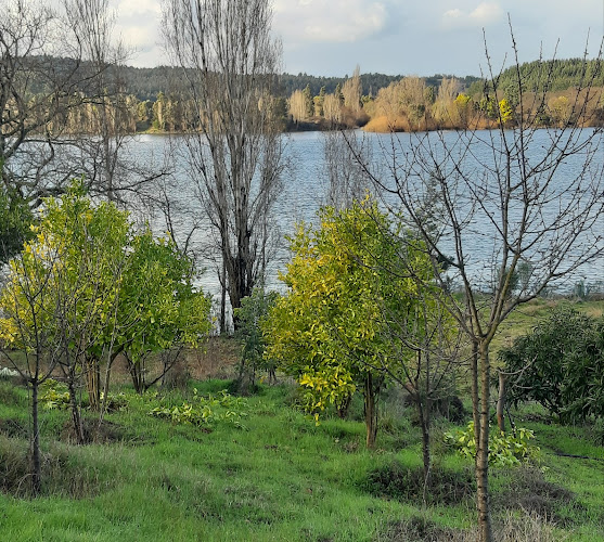Viña Doña Luisa Millapoa - Gastronomía y hostelería