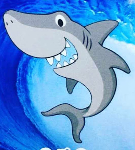 Opinii despre Almacén Tiburón în Pichilemu - Gastronomía y hostelería