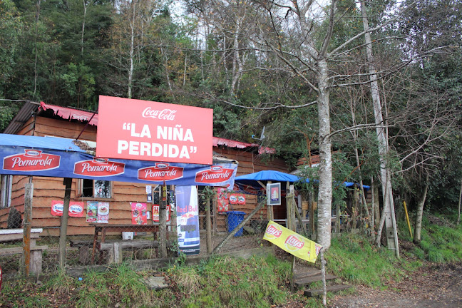Sector La Peña Km 19 Lanco, 6050000, Los Ríos