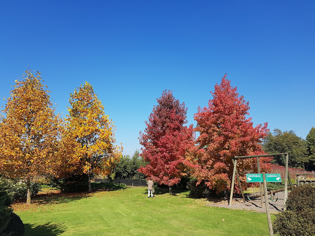 Comments and reviews of Mesón de Quilvo