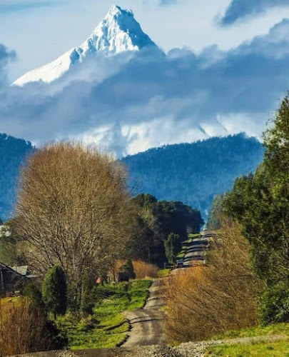 Opinii despre Rupanco în Recoleta - Gastronomía y hostelería