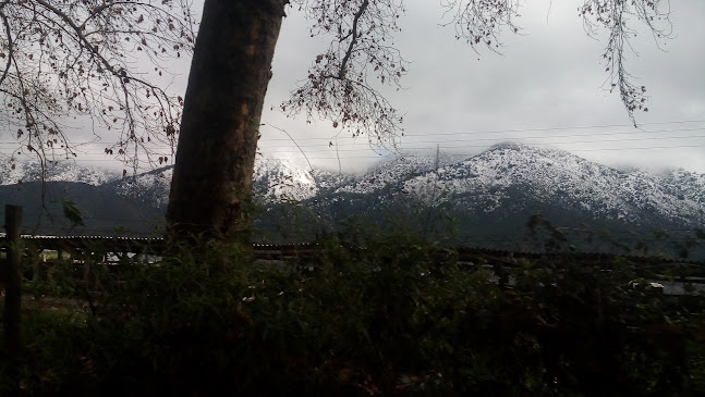 Av. Américo Vespucio 8190, 2025, 8260535 La Florida, Región Metropolitana