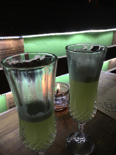 Comentarii opinii despre Jardín Tocornal