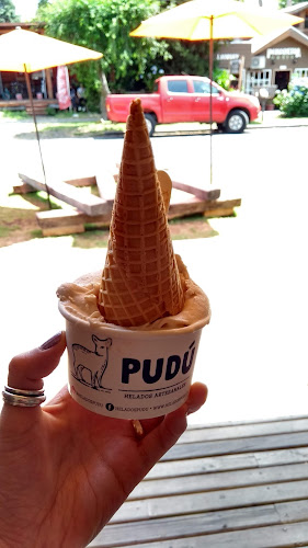 Lincoyán 291 con General Urrutia Pucón, 4920000 Araucanía