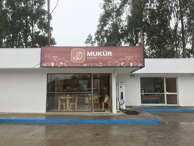 Cafeteria Mukür - Biobío