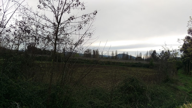 LA GRANJITA DE BOBADILLA - San Javier de Loncomilla