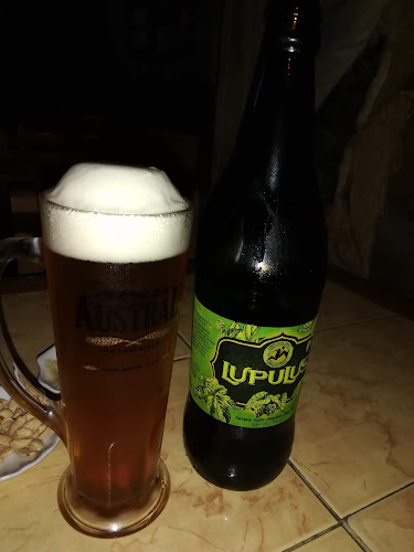 Av. Independencia 800, 6200000 Punta Arenas, Magallanes y la Antártica Chilena