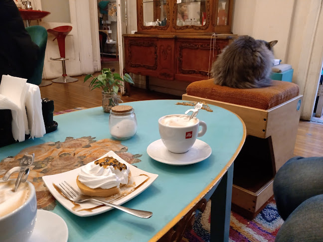 Tetería Cleopatra Chile