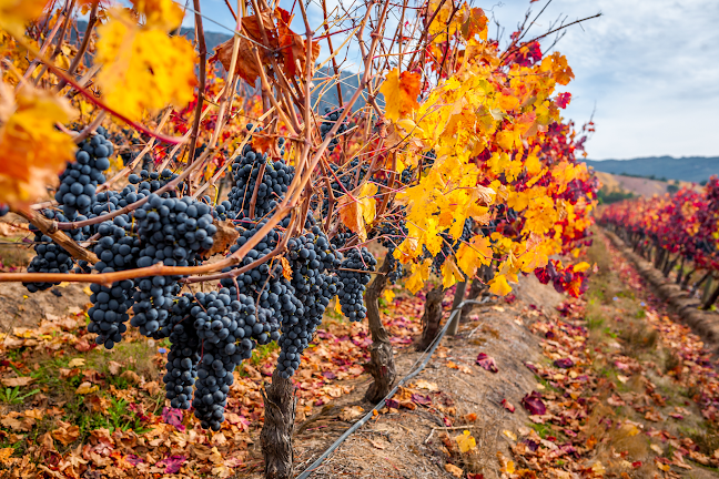 I-350, Santa Cruz, O'Higgins