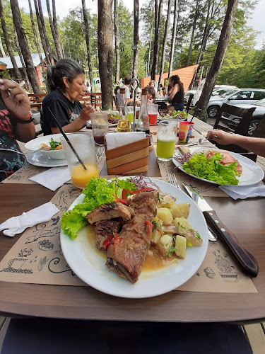 Comentarii opinii despre Refugio Sur