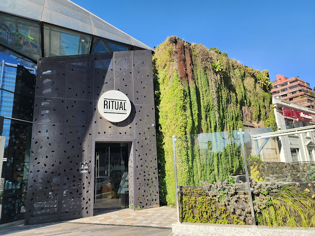 Café Ritual Isidora - Gastronomía y hostelería