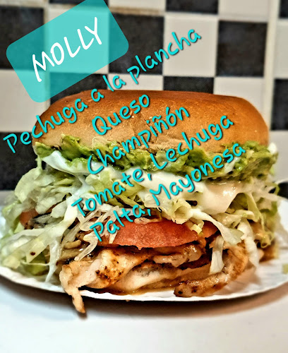 Opinii despre Sandwicheria y Comida casera El Bufon în Renca - Gastronomía y hostelería