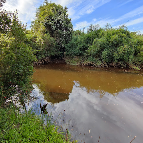 Mirador De Mechaico - Restaurant y Cabañas Phone number