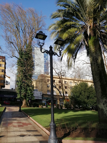 Comentarii opinii despre Doggis