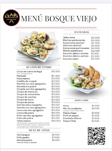 Bosque Viejo - Los Vilos