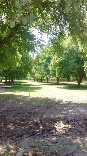 villa el molino maipo