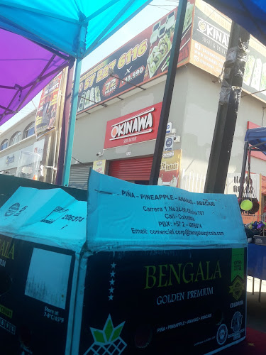 okinawa sushi - Alto Hospicio